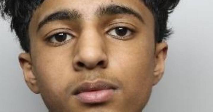 Teen killer who stabbed Harvey Willgoose on school lunch break named as mugshot released