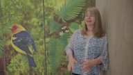 Monumental mural art brings Oregon's outdoors inside