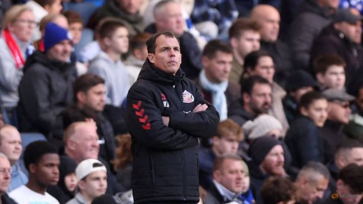 Premier League survival still the target, says Sunderland coach