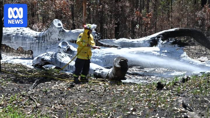 Watch and act warning issued for out-of-control bushfire in Northern NSW