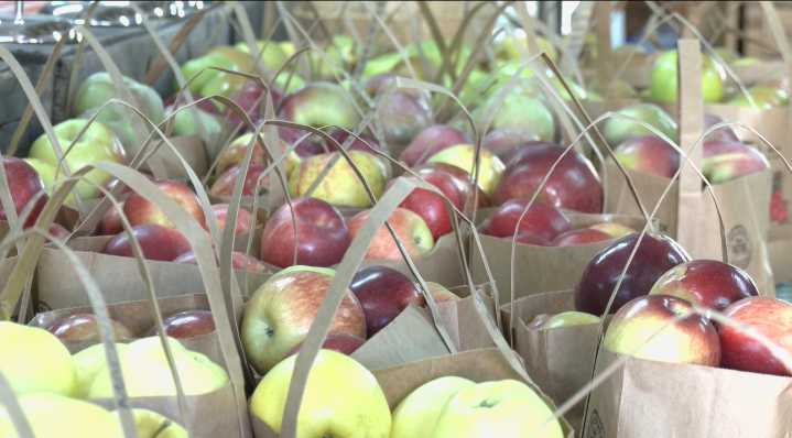 Aritourism takes the spotlight in October; as farms meet family fun
