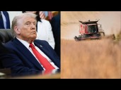 Trump to offer $3 billion in aid to farmers despite shutdown, administration officials say