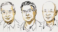 Nobel de Economía 2025 para un trío por investigaciones sobre innovación y crecimiento