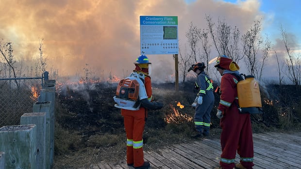 Good burn: Prescribed fire is medicine for Sask. grasslands