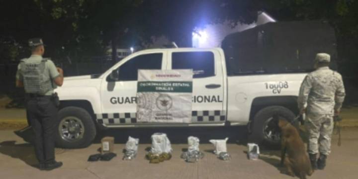 Guardia Nacional asegura presunta droga y vapeadores al interior de una empresa de paquetería en Culiacán