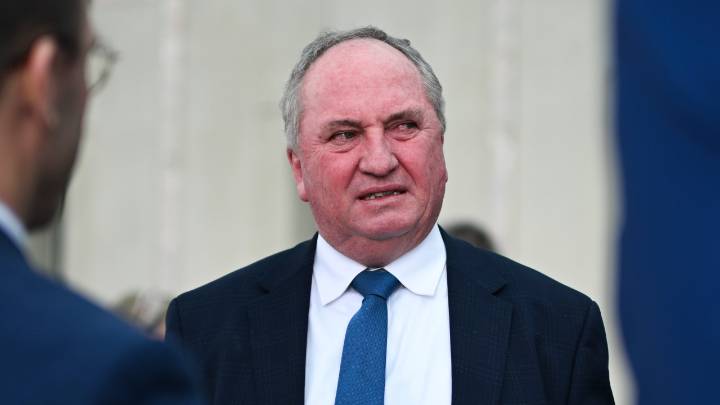Former deputy prime minister Barnaby Joyce slams Labor's renewables push as ‘scam’