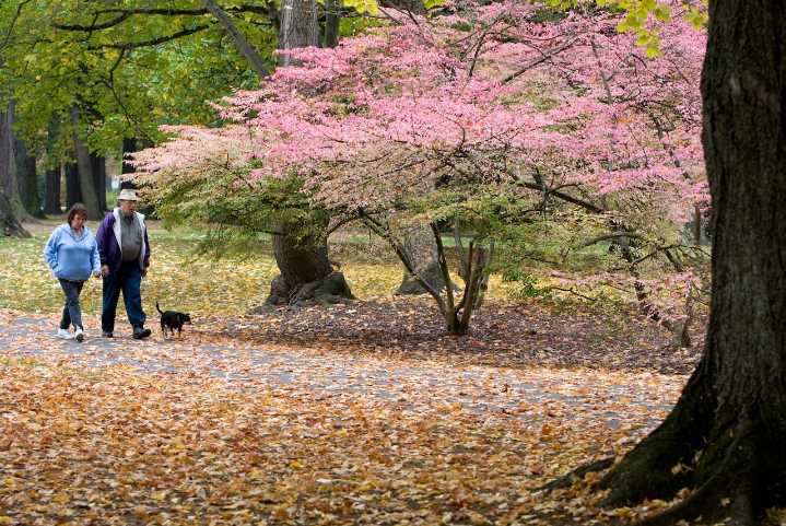Portland sees morning showers Monday, partial clearing by afternoon