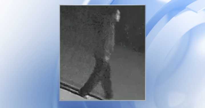 Carrboro police ask for help to ID bikeway attack suspect :: WRAL.com