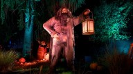 Harry Potter ‘Forbidden Forest’ opens in Ingleside
