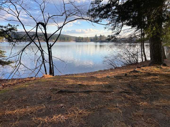 One WMass pond captures the long, slow loss of blue-collar bungalows with water views