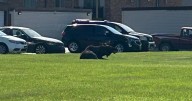 Moose roaming Fargo should be left alone, police say