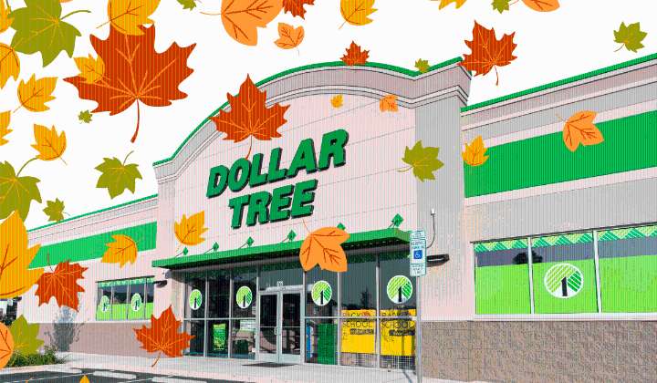 8 Best New Dollar Tree Decor Items for Fall’s Coziest Kitchen