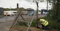 Deadly virus fears as tropical mosquitoes detected at two sites in UK