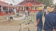 M’laya-ni gitchambatsranggipa mite noko Durga Pujako mania