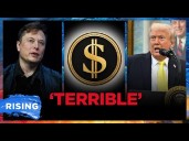 Elon Musk RAGES Over ‘Big Balls’ Alleged ATTACKERS Getting NO JAIL TIME