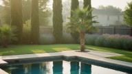 No ensucian el agua: los dos árboles ideales para tener junto a la pileta