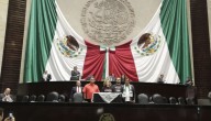 Diputada del PT exige poner fin a “silencio cómplice ante el genocidio” de Israel contra Palestina