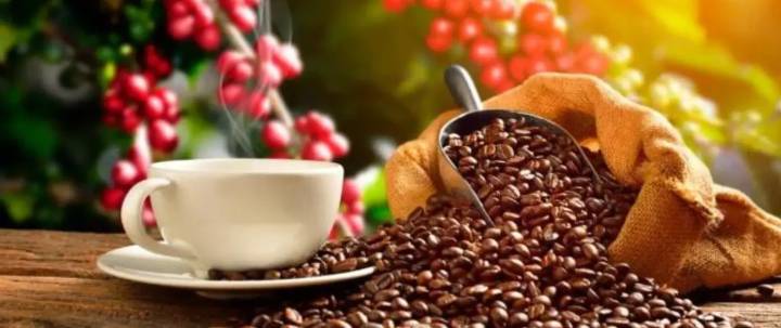 Guerra comercial entre EE. UU. y China impulsa el café colombiano