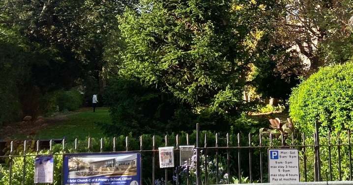 Giant 50ft Christmas tree goes up in Clifton