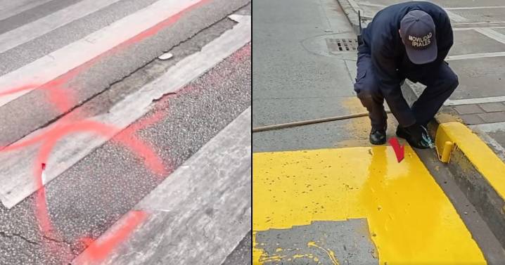 Entre un pene en Málaga y las cebras pintadas en Ipiales, la ciudadanía hace el trabajo que no hacen los alcaldes