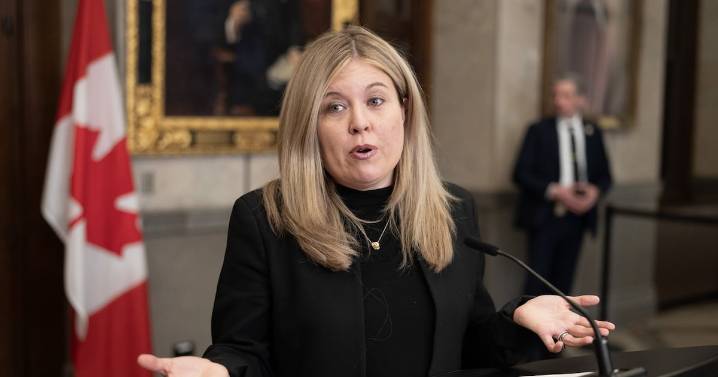 Birthright citizenship should be restricted: Conservatives