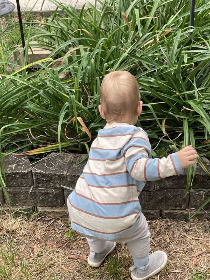 From the Ground Up: Kid-sized gardening