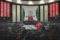 Diputados revisarán reforma a Ley de Amparo; no puede ser retroactiva, señala Monreal