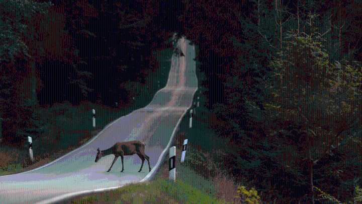Mississippi drivers urged to be on alert for deer as temperatures drop