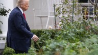 ‘I don’t think it helps either side’: Quiet concerns emerge in Trump’s orbit over shutdown