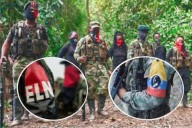 Pide acción inmediata ante choques del Eln y disidencias.