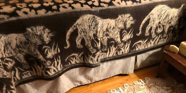 Titularidad de marca de icónicas frazadas de tigre será rematada por Sunat junto con inmuebles valorizados en S/ 26 millones