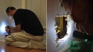 Homeowner In California Follows Faint Cries Through The House And Makes A Chilling Discovery