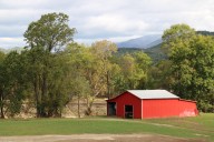 Farmers are recovering after Helene – with help from UT Ag researchers