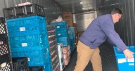 'Let us put the transportation solution in place' | Local nonprofit helps save food from going to waste