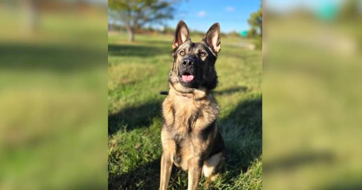 Boone County Sheriff's Office shares first day of school pics for new K