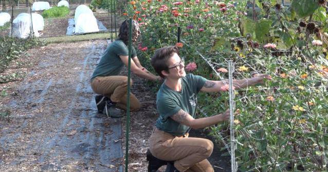 New farm stand opens in Keswick