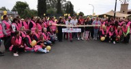 Lazos rosas en el asfalto