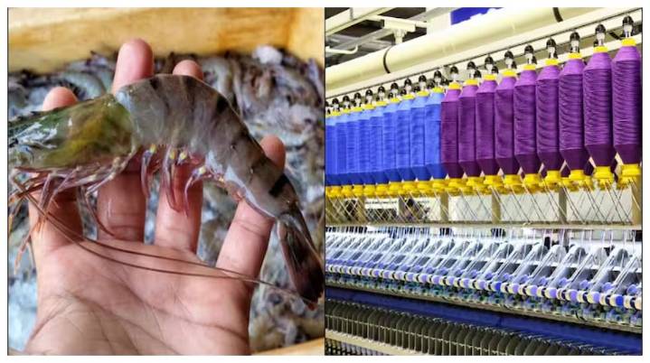 Indian Textile & Shrimp Exporters' Shares Surge After US President Donald Trump Commented About Trade Deal With India