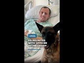 K-9 reunites with officer after crash