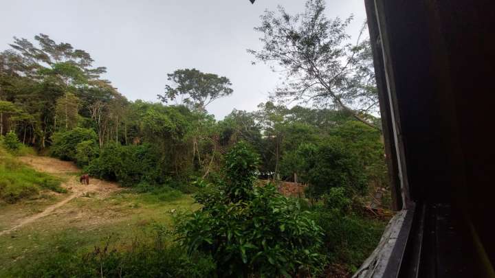 Vecinos de San Roque denuncian cierre arbitrario de camino comunal y bloqueo de acceso a sus terrenos