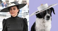 Kate Middleton's Milliner Launches 2026 Calendar Featuring Dogs in Hats