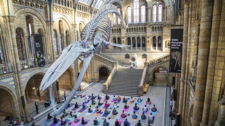 Museums after dark: London’s historic halls get a new lease on life