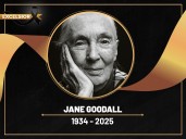 Muere Jane Goodall a los 91 años, autoridad mundial de los chimpancés