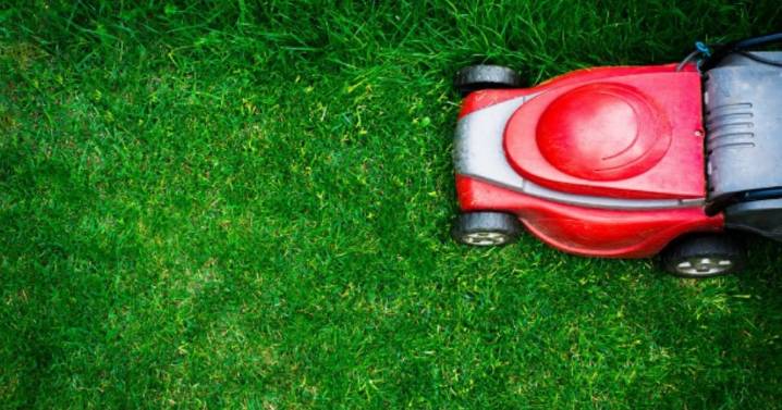 UK households mowing lawn for final time this year risk £5,000 fine this weekend
