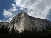Climber falls to death on El Capitan livestream