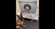 Saratoga Springs traffic stop leads to drugs, arrest