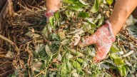 De qué se trata la presentación del proyecto de ley sobre Buenas Prácticas Agropecuarias en el Congreso