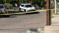 Abandonan a Perrito Sin Vida Envuelto en Cobija en Colonia Centro de Hermosillo