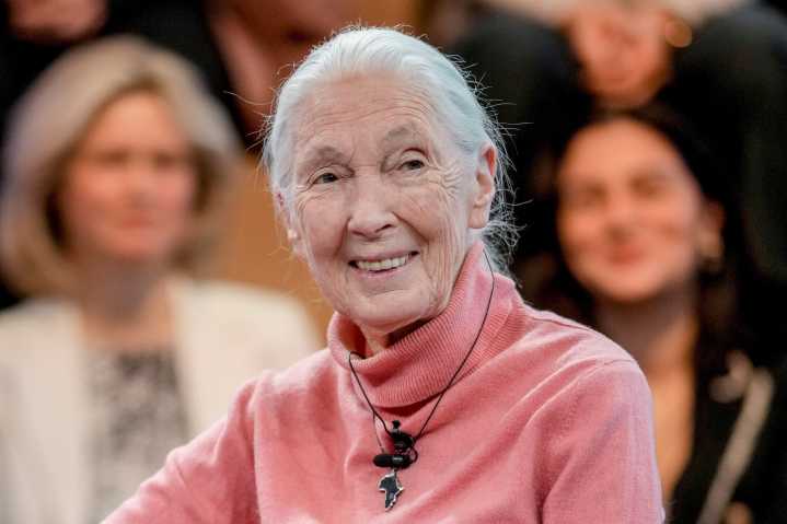 Jane Goodall, conservationist renowned for chimpanzee research and environmental advocacy, has died