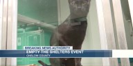 Onslow Empty the Shelter event